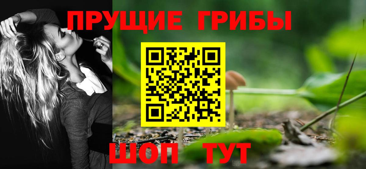 Галлюциногенные грибы GOLDEN TEACHER  Вход с VPN  купить наркотики цена  Электрогорск 